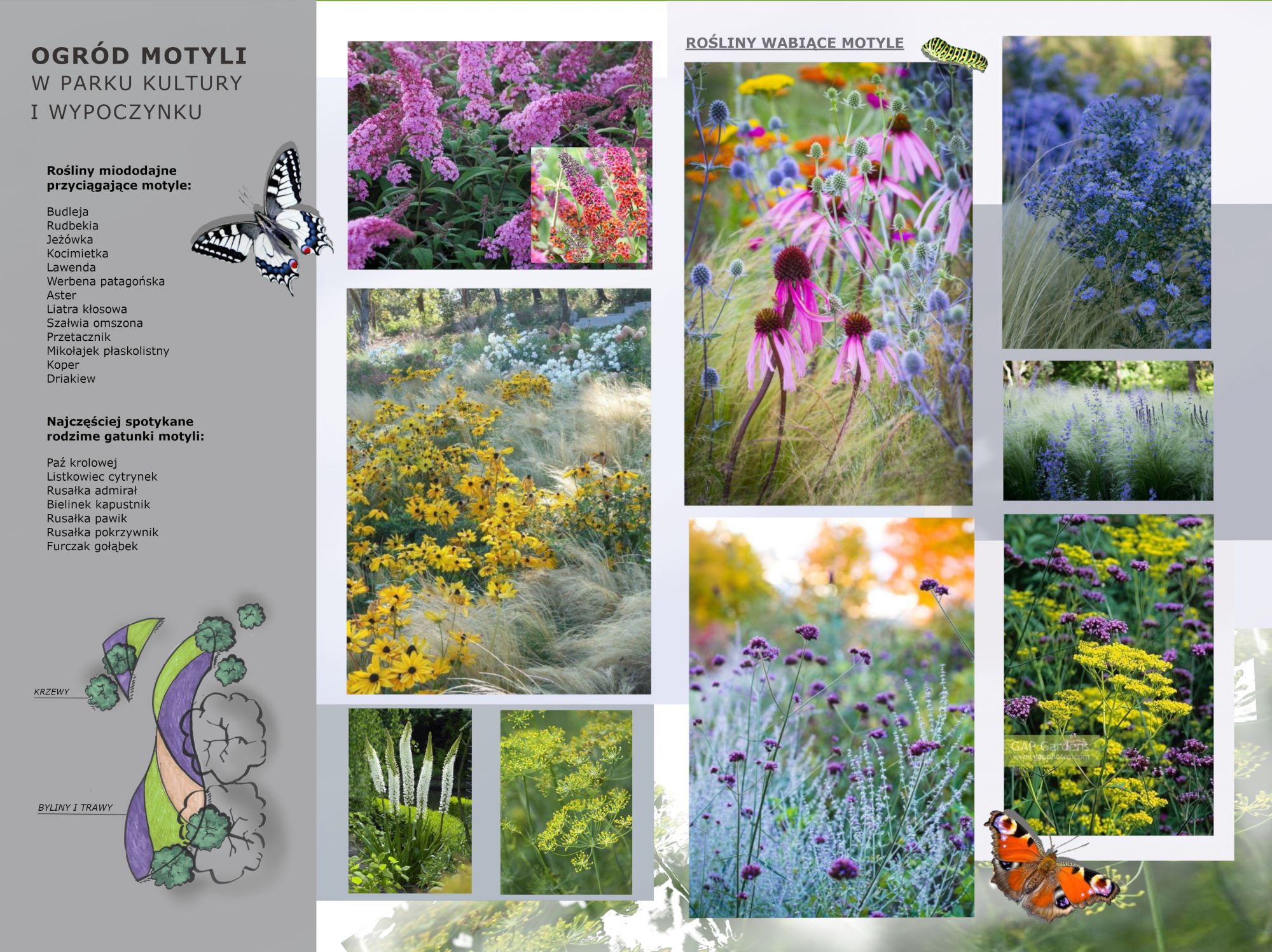 wizualizacja projektu - Ogr&oacute;d Motyli